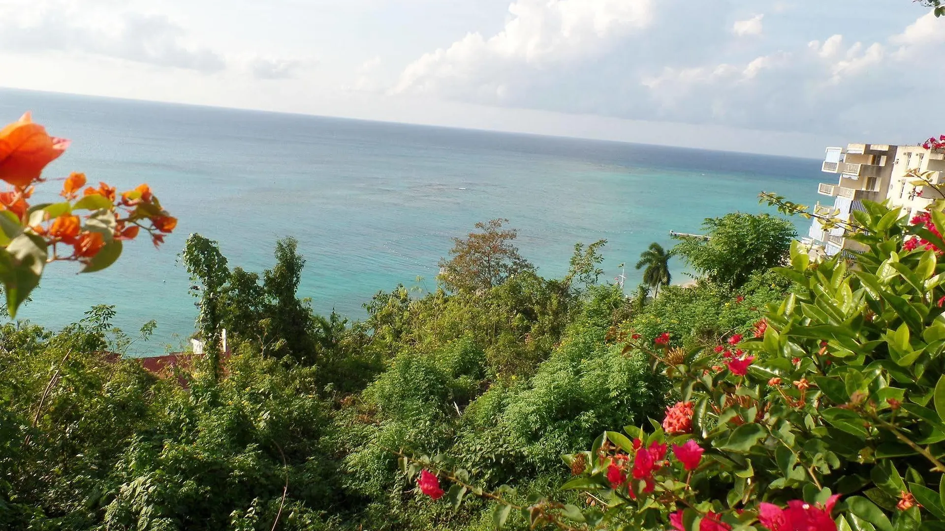Court Manor At Montego Bay Club Apartment Jamaica